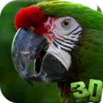 Logo of Parrot 3D Video Live Wallpaper android Application 